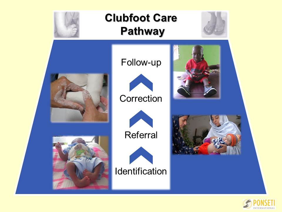CF Pathway